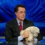 the.colbert.report.03.18.10.Mary Matalin_20100329024950.jpg