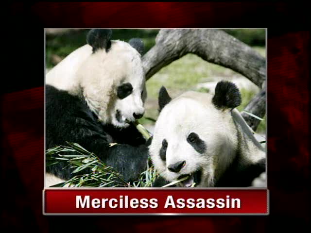 TCR-Merciless_Assassin.jpg