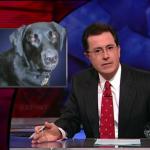 the.colbert.report.10.07.09.Alison Gopnik_20091020015222.jpg