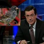 the_colbert_report_12_01_08_Khaled Hosseini_ Roland Fryer_20081215025009.jpg