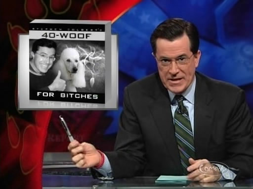 the_colbert_report_02_11_09_Stephen Pinker_20090311013946.jpg