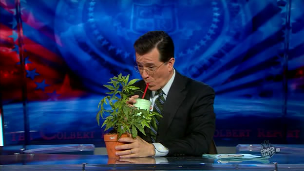 the.colbert.report.03.17.10.Nell Irvin Painter_20100329013754.jpg