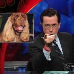 the_colbert_report_02_11_09_Stephen Pinker_20090311013843.jpg