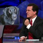 the.colbert.report.10.07.09.Alison Gopnik_20091020015125.jpg