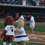 colbert-riverdogs-05.jpg