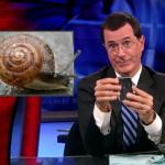 the.colbert.report.08.12.09.Mark Johnson_20090814024222.jpg