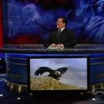 the.colbert.report.09.14.09.Cory Booker_20090917030234.jpg