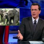 the.colbert.report.08.20.09.Chris Matthews_20090823234003.jpg