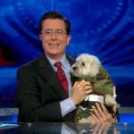 the.colbert.report.03.18.10.Mary Matalin_20100329025234.jpg