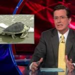 the.colbert.report.06.01.10.Ayaan Hirsi Ali_20100615030513.jpg