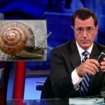 the.colbert.report.08.12.09.Mark Johnson_20090814024134.jpg