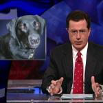 the.colbert.report.10.07.09.Alison Gopnik_20091020015116.jpg