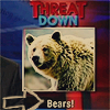 th_bears.png