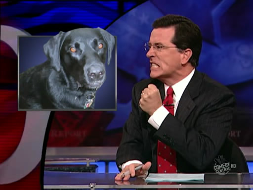 the.colbert.report.10.07.09.Alison Gopnik_20091020015125.jpg