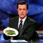 070629_colbert.jpg