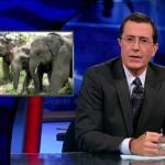 the.colbert.report.08.20.09.Chris Matthews_20090823234022.jpg