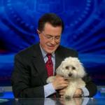 the.colbert.report.03.18.10.Mary Matalin_20100329025122.jpg