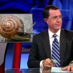 the.colbert.report.08.12.09.Mark Johnson_20090814024109.jpg