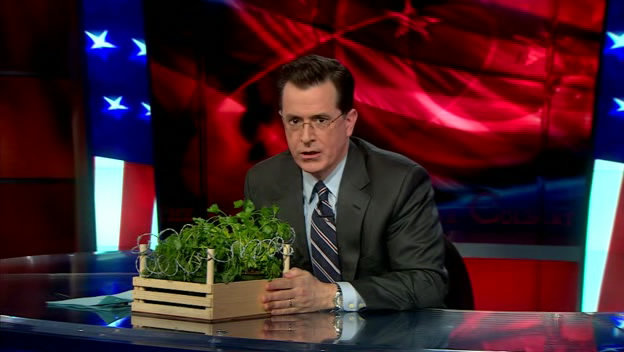 the.colbert.report.03.10.10.Sean Carroll_20100314041357.jpg