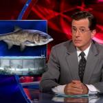 the.colbert.report.07.07.10.Steve Carell_20100708012509.jpg