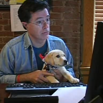 colbert-puppy.png