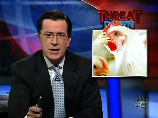 the_colbert_report_11_05_08_Andrew Young_20081119035544.jpg