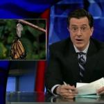 the_colbert_report_04_27_09_The Decemberists_20090504035027.jpg