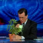 the.colbert.report.03.17.10.Nell Irvin Painter_20100329013734.jpg