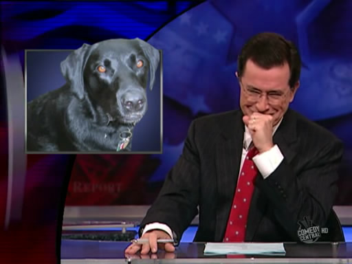 the.colbert.report.10.07.09.Alison Gopnik_20091020015204.jpg