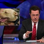 the.colbert.report.10.07.09.Alison Gopnik_20091020015108.jpg