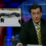 the_colbert_report_01_12_09_Anthony Romero_20090128022723.jpg