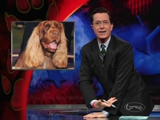 the_colbert_report_02_11_09_Stephen Pinker_20090311013759.jpg