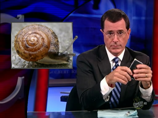 the.colbert.report.08.12.09.Mark Johnson_20090814024134.jpg