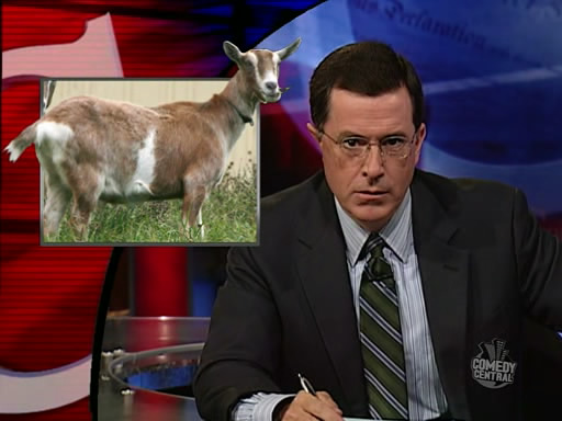 the.colbert.report.09.17.09.Frank Bruni_20090924022831.jpg