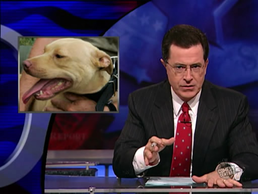 the.colbert.report.10.07.09.Alison Gopnik_20091020015108.jpg