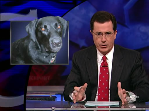 the.colbert.report.10.07.09.Alison Gopnik_20091020015116.jpg