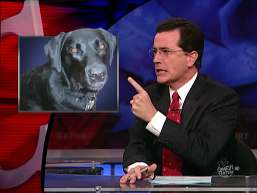 the.colbert.report.10.07.09.Alison Gopnik_20091020015135.jpg