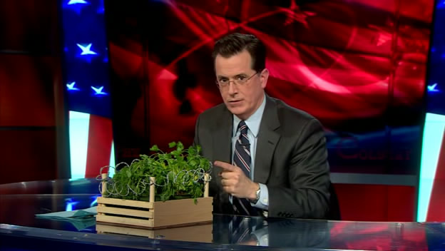 the.colbert.report.03.10.10.Sean Carroll_20100314041404.jpg