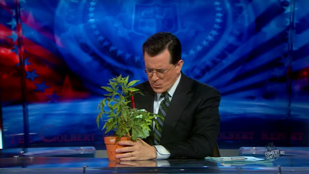 the.colbert.report.03.17.10.Nell Irvin Painter_20100329013746.jpg