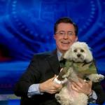 the.colbert.report.03.18.10.Mary Matalin_20100329025155.jpg