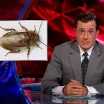 the.colbert.report.07.07.10.Steve Carell_20100708012600.jpg