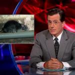 the.colbert.report.07.07.10.Steve Carell_20100708012610.jpg