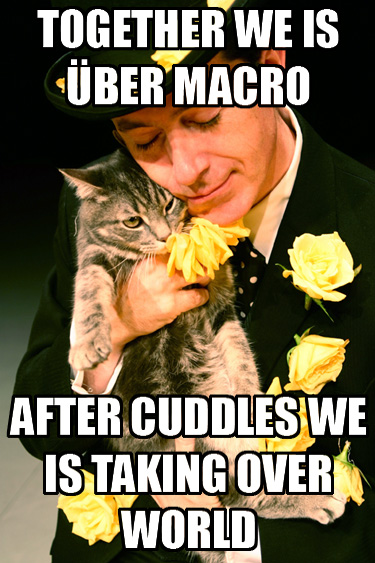 colbert cat uber macro.jpg