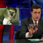 the.colbert.report.12.09.09.Matt Taibbi_20100104163845.jpg