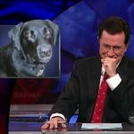 the.colbert.report.10.07.09.Alison Gopnik_20091020015204.jpg