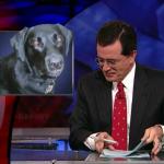 the.colbert.report.10.07.09.Alison Gopnik_20091020015213.jpg