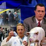 the_colbert_report_08_04_09_Kurt Andersen_20090805033028.jpg