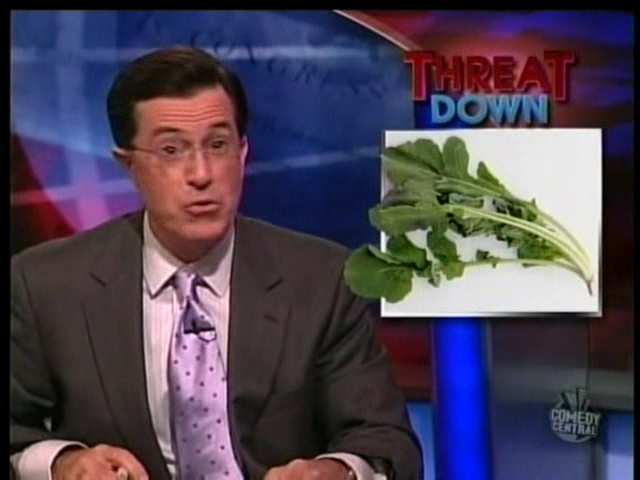 The Colbert Report - July 24_ 2008 - Laurie Goodstein_ Garrett Reisman - 9431934.png