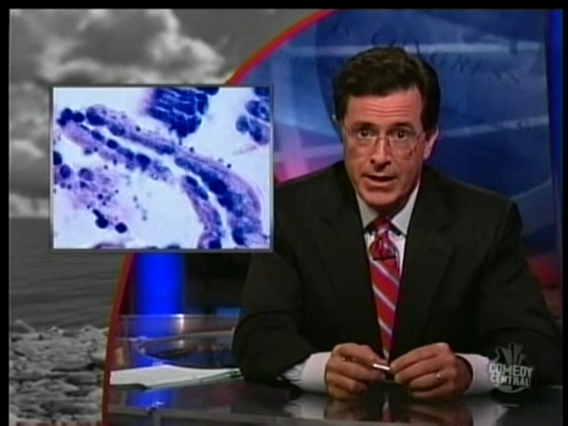 The Colbert Report - July 31_ 2008 - Brendan Koerner_ Buzz Aldrin - 14504237.png