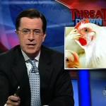 the_colbert_report_11_05_08_Andrew Young_20081119035544.jpg